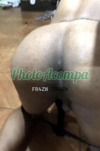 Travesti acompanhante em Porto Alegre com oral sem camisinha (4) — Ariely