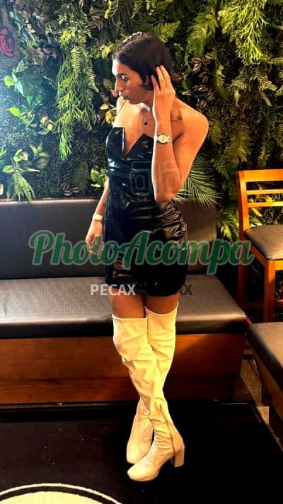 Travesti acompanhante foto verificada em Praia Grande (3) — Ayana