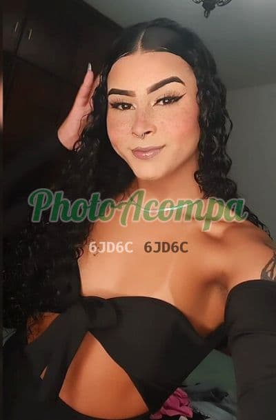 Travesti acompanhante foto verificada em São Vicente, foto 3 de Bella