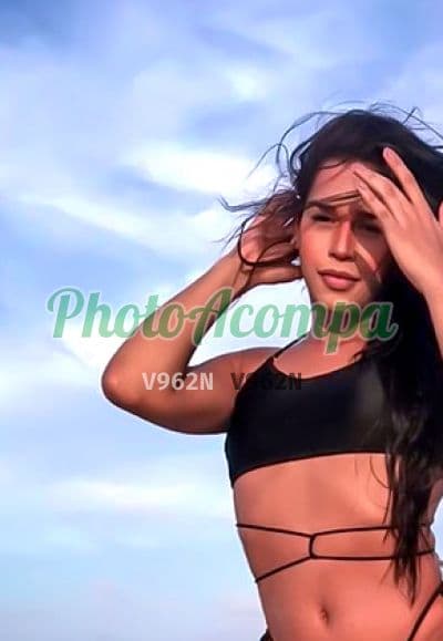 Travesti acompanhante em Teresina com garganta profunda (4) — Bruna