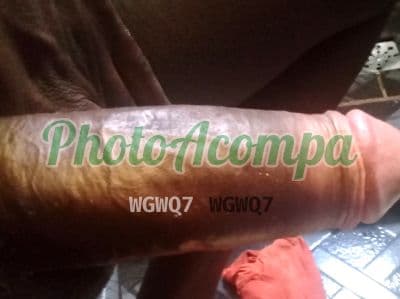 Travesti acompanhante foto verificada em Duque de Caxias, foto 3 de Brunessa