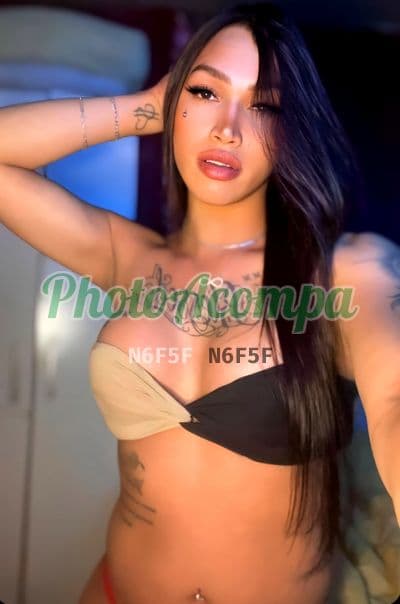 Travesti acompanhante em Caxias do Sul — beijo grego, foto 2 de Dandara