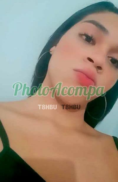 Travesti acompanhante em Belo Horizonte com garganta profunda (4) — Gata