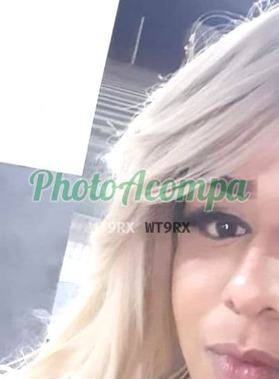 Foto 4: Travesti acompanhante em Florianópolis — oral sem camisinha, Jana