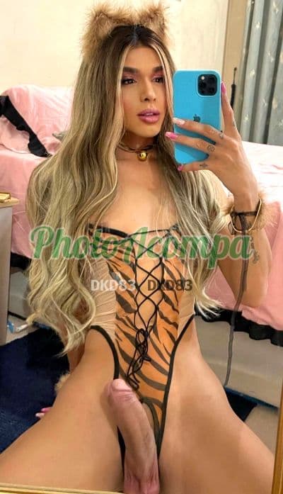 Travesti acompanhante foto real em Rio de Janeiro, foto 2 de Karine