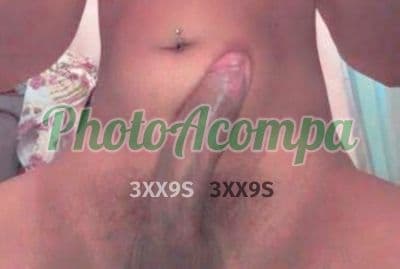 Travesti acompanhante foto verificada em Curitiba, foto 3 de Karol