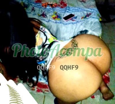 Travesti acompanhante foto verificada em São José dos Pinhais — Ketlin, foto 3