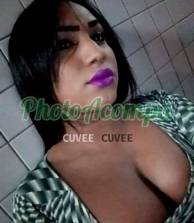 Travesti acompanhante em Campinas com oral natural (4) — Kimberly