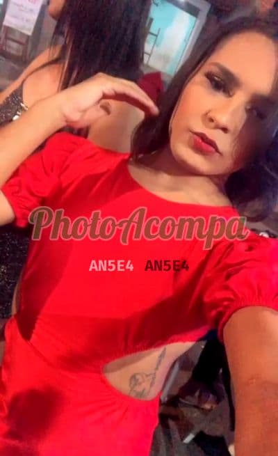 Travesti acompanhante foto real em Feira de Santana, foto 2 de Marina
