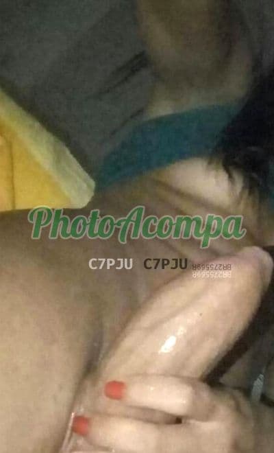 Travesti acompanhante foto verificada em Curitiba, foto 3 de Mayara