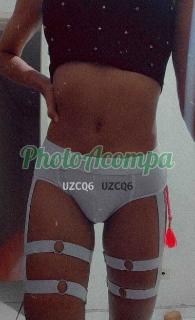 Travesti acompanhante foto verificada em Curitiba (3) — Natasha