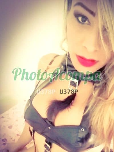 Travesti acompanhante foto verificada em Curitiba, foto 3 de Nicoly
