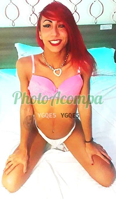 Travesti acompanhante em Osasco com oral natural (4) — Paola