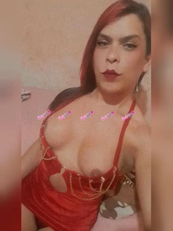 Travesti acompanhante alta em São Simão