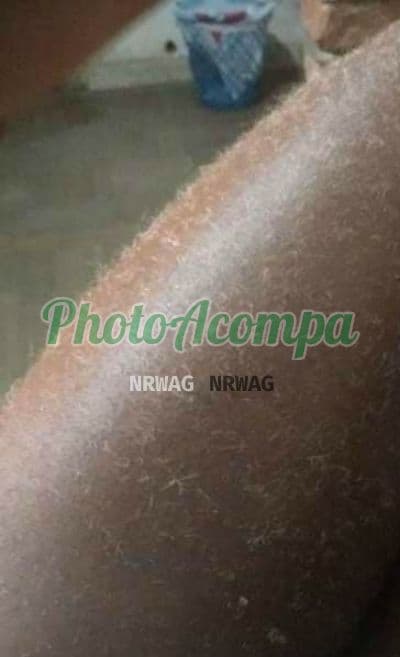 Travesti acompanhante foto sem retoque em Belo Horizonte, foto 5 de Puta Show