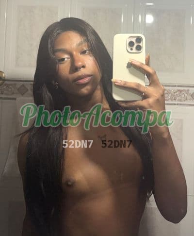 Travesti acompanhante foto verificada em Curitiba (3) — Rebecca