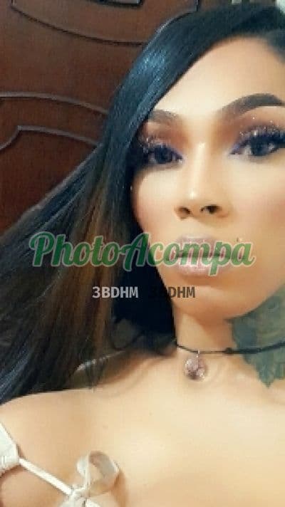 Travesti acompanhante foto verificada em Sumaré (3) — Sami