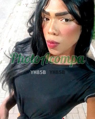 Travesti acompanhante em Santos com garganta profunda (6) — Sanches