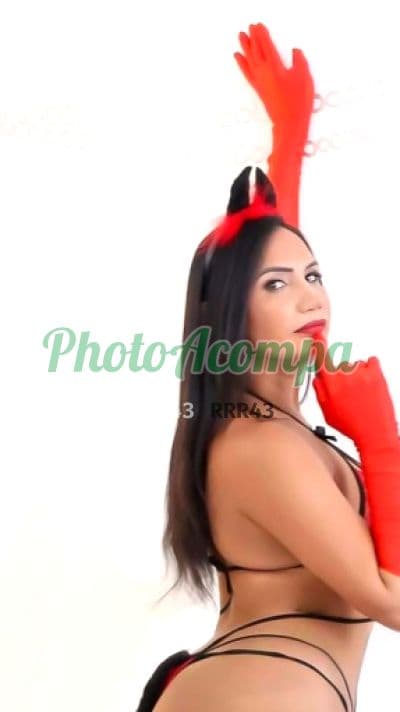 Travesti acompanhante foto verificada em Balneário Camboriú — Sheila, foto 3