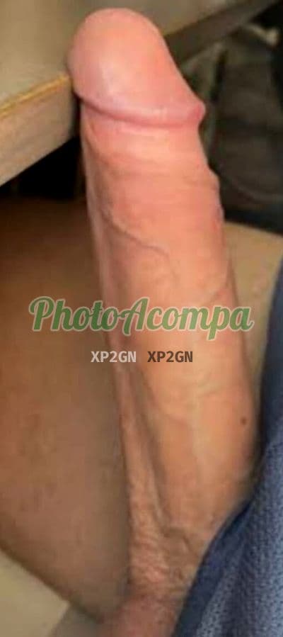 Travesti acompanhante imagem autêntica em São Paulo (4) — Sherry