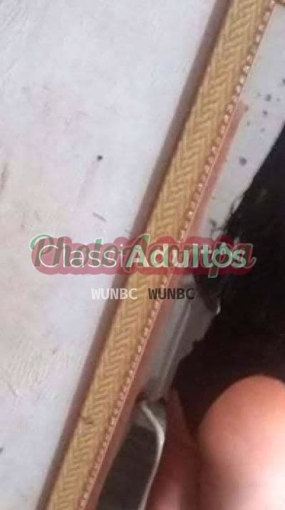 Travesti acompanhante imagem do anúncio em São José do Rio Preto — Sindy