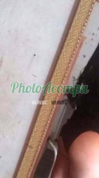 Travesti acompanhante foto sem retoque em São José do Rio Preto — Sindy, foto 5