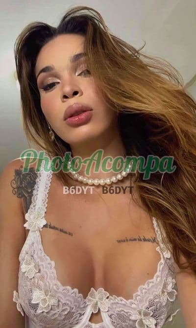 Travesti acompanhante foto real em Campinas — Sophia, foto 2