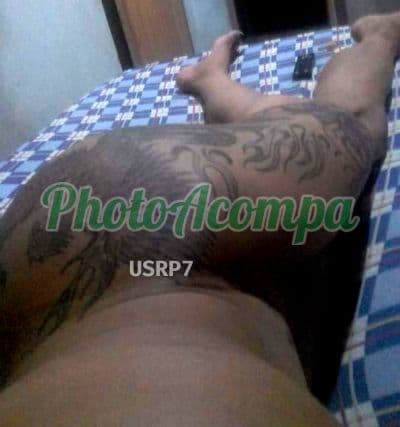 Travesti acompanhante foto verificada em Petrópolis (3) — Tabata