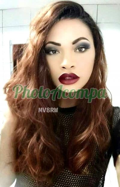 Travesti acompanhante foto verificada em Curitiba (3) — Thuany