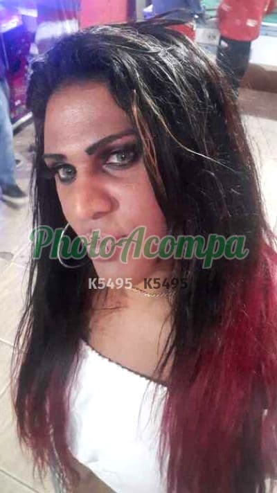 Foto 5: Travesti acompanhante foto sem retoque em São Vicente — Tiffany