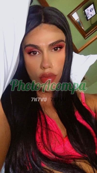 Travesti acompanhante em Porto Alegre — garganta profunda, foto 4 de Tonton