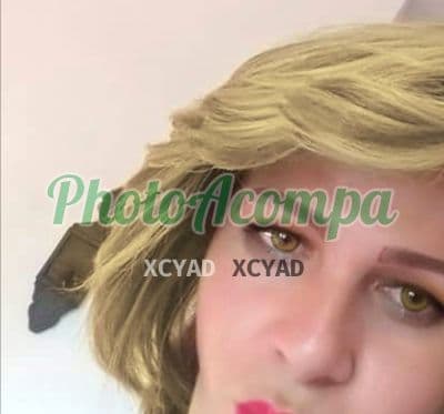 Travesti acompanhante foto verificada em São Paulo — Vanessa, foto 3