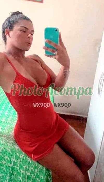 Travesti acompanhante em Guarulhos com beijo grego (2) — Yasmin