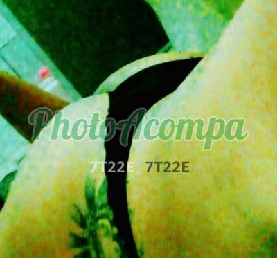 Talya — acompanhante em Catanduva