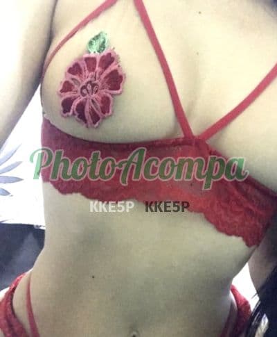 Foto 3: Acompanhante de seios naturais em Florianópolis — A Massagista