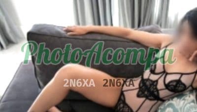 Acompanhante morena em Belo Horizonte — Aline Pacheco, foto 5