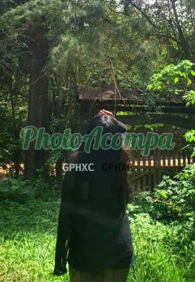 Foto 3: Acompanhante magra em Salvador — Ana