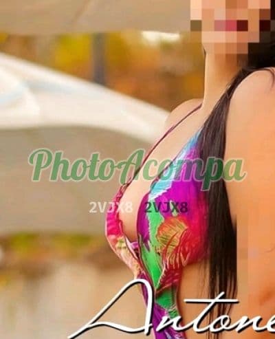 Acompanhante depilada em São José dos Campos — Antonella, foto 5