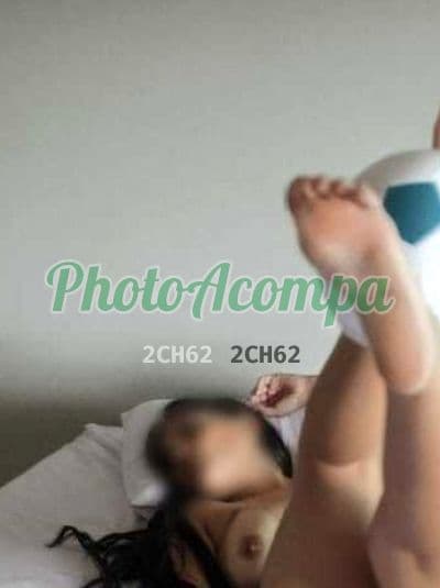 Acompanhante morena em Recife (5) — Antonella Dias