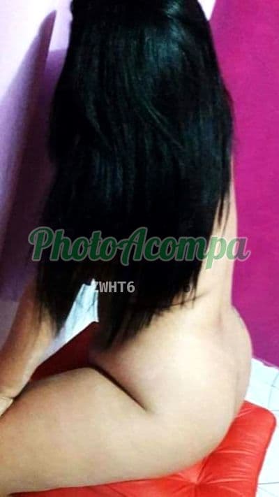 Acompanhante morena em Boa Vista (5) — Brenda Morena