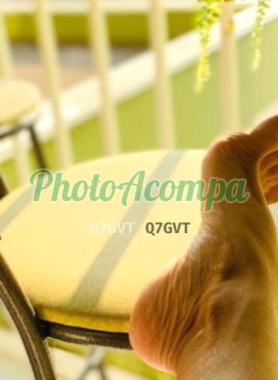 Acompanhante em Campinas com strap-on (4) — Domme Pandora