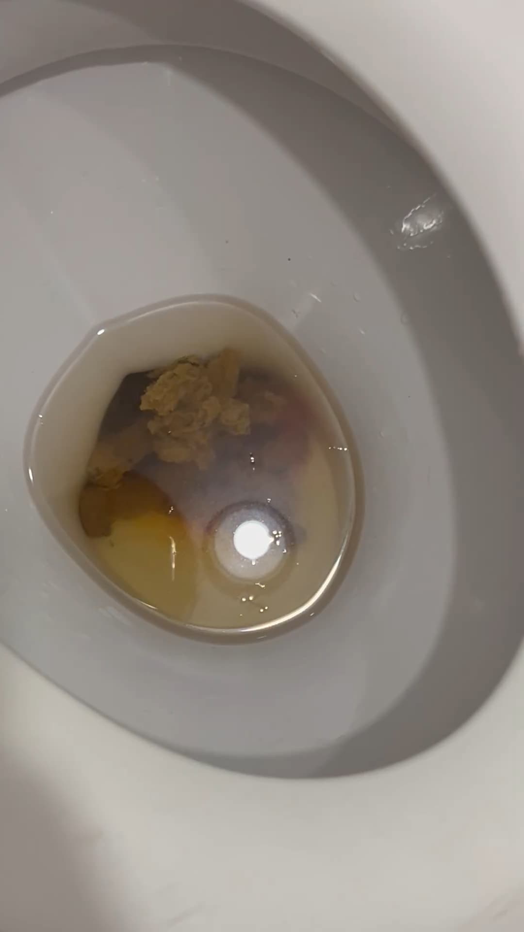 Foto 14: Acompanhante em São Bernardo do Campo — fetiche de pés, Domme🥷🏻👸🏻Athena