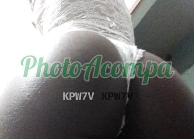 Foto 5: Acompanhante morena em Vila Velha — Garota de programa