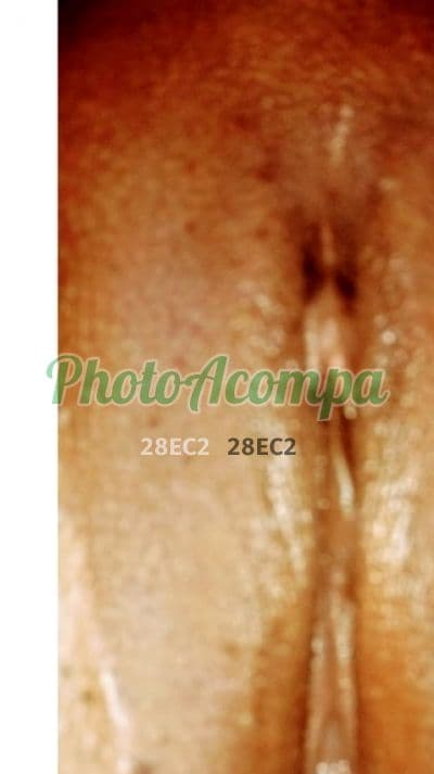 Acompanhante de seios naturais em Salvador — Giovana, foto 3
