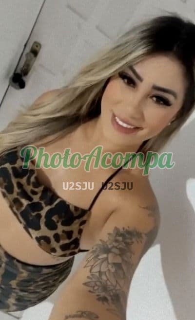Acompanhante depilada em Curitiba (5) — Grazi Santos