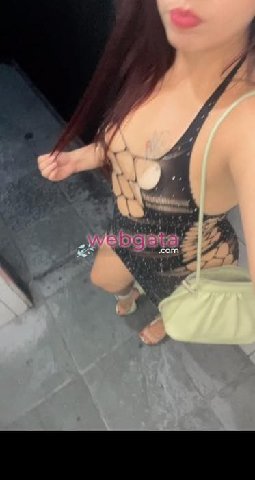 Foto 5: Acompanhante cabelo castanhos em Alfenas — Hadley Caroline