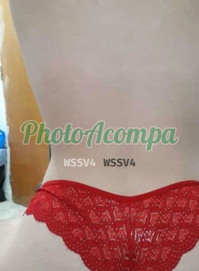 Acompanhante em Goiânia com beijo na boca (2) — Kely