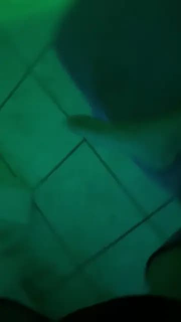 Acompanhante foto verificada em Florianópolis — Letícia Burnier, foto 3