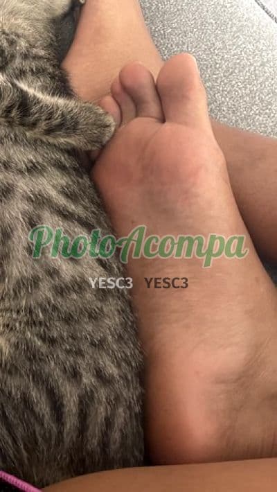 Acompanhante depilada em São Paulo — Louise, foto 5