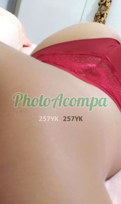 Acompanhante gordinha em Imperatriz — Mel, foto 5